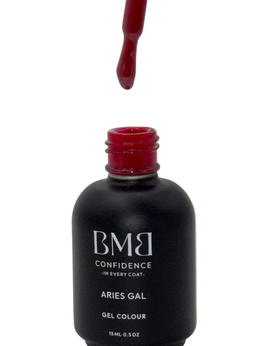 Gel Polish for Nails (ARIES GAL, 15ml/0.5oz) | Luxurious Spa Quality Acrylic UV/LED Fingernail Paint | Easy Application, Long-Lasting, Vibrant Colors, Chip Resistant